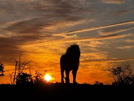 I have a picture for you! 09 August-15 August 2025