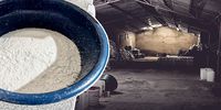 Mexican cartel concerns around SA ‘tik farms’ may connect to Ecuador’s cocaine gangs