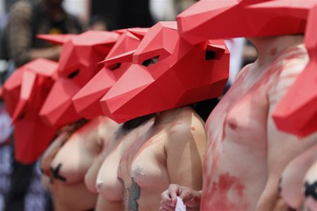 In images: Demonstrators protest against bullfights, Colombia