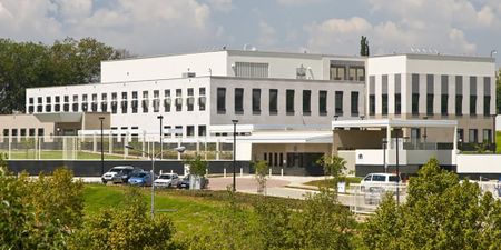 Desperate South Africans waiting months for US visas due to massive backlogs