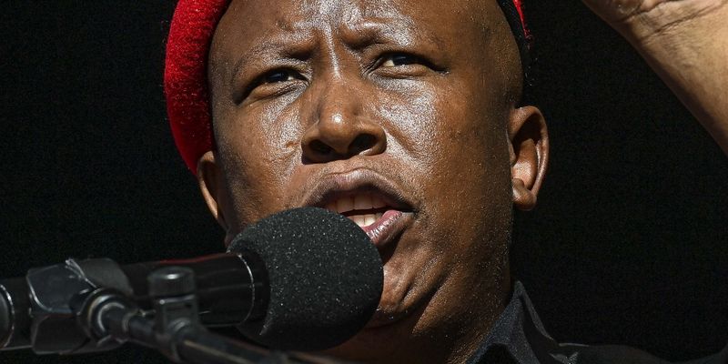 www.dailymaverick.co.za