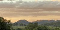 Evening after a storm, Gauteng. Image: Prospero Bailey