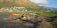 Daily Digger Dance, Zandvlei, Muizenberg.