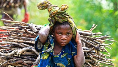 WEF and The Little Match Girl