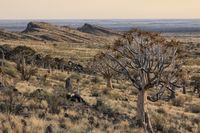 Kenhardt: The former outlaw town with a sunny future