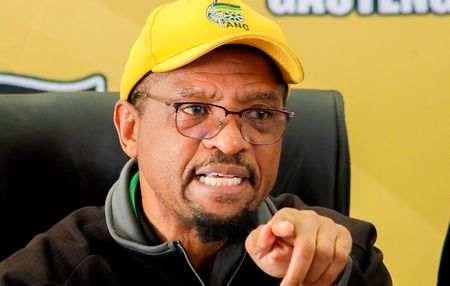 ANC task team in Gauteng vows to ‘clean out’ self-serving members