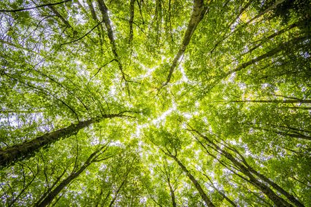 Stretching your investment beyond its monetary value