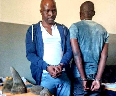 Rhino poaching gangster ‘Navara’ locked up for 27 years for Kruger National Park-linked killing sprees