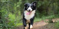 Stoffel in his element at Wolwespruit. Photographer: Boshoff Steenekamp</p>
<p>P4U_readersubmission_20250614