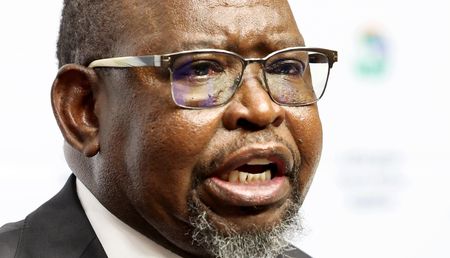 FULL TEXT: The prepared speech of Finance Minister Enoch Godongwana that missed the February 19 mark