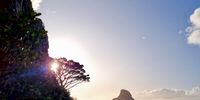 Sunday afternoon stroll on Table Mountain. Image: Natalie Greatorex