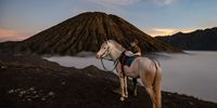 PROBOLINGGO, JAVA, INDONESIA - JUNE 26: An Indonesian man bring a horse at Mount Batok during the Yadnya Kasada ritual on June 26, 2021 in Probolinggo, Java, Indonesia. The Tenggerese people are an ethnic group in Eastern Java, Indonesia's most populous island, who believe themselves to be descendants of the Majapahit princes that ruled the area historically. Their population of roughly 500,000 is centered in the Bromo Tengger Semeru National Park in eastern Java. The ethnic group's most popular ceremony, the month-long Yadnya Kasada festival, was the most visited tourist attraction in Indonesia before the Covid-19 pandemic. On the fourteenth day, the Tenggerese make a journey to Mount Bromo to make offerings of rice, fruits, vegetables, flowers and even livestock and poultry, throwing them into the volcano's caldera. The ritual is thought to have started in the 15th century, when a local princess and her husband prayed to the mountain gods for help in having children. (Photo by Robertus Pudyanto/Getty Images)