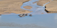 SANParks beefs up security after Mossel Bay couple killed in Kruger Park