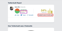 A screengrab of Zille’s earlier Twitter Audit report. Note the number of fake followers (purple) and the date of the audit (red). (Source: @fireflyluciferi/archive)