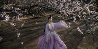 BEIJING, CHINA - MARCH 21: A Chinese woman wears traditional dress, or hanfu, as she has her picture taken by friends next to the first blossoms of spring at a park on March 21, 2021 in Beijing, China. (Photo by Kevin Frayer/Getty Images)