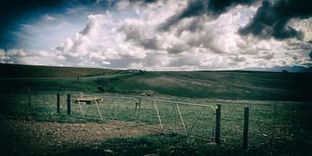 S25 constitutional amendment sinks amid party political insults – now all eyes on Expropriation Bill