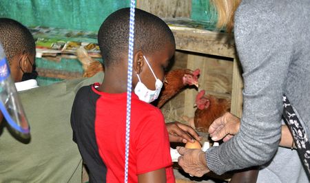 Budding environmentalists are being cultivated through sustainable grassroots education