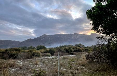 ‘It just moved so fast’ — fire-scarred Cape communities band together amid devastating flames