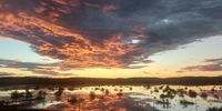 Sunset over a flooded Brandvlei. Image: Jenny Wentzel.