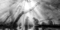 'The Fisherman’s Life'. Inle Lake in Myanmar is known for its picturesque scenery. The local fishermen use a unique leg-rowing technique to propel their boats, and this photograph reveals a serene scene, as a couple fish beneath the shade of a majestic, sprawling tree. The reflections on the water add an extra touch of beauty to the moment. Image: © Kyaw Htet, Myanmar, Winner, National Awards, Sony World Photography Awards 2024