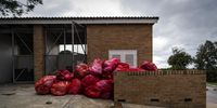 Bags of medical waste lie in the open at Livingstone Hospital, Gqeberha. (Photo: Shiraaz Mohamed)
