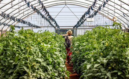 State urged to implement agroecology programme ‘as a guiding framework for SA’s food system’