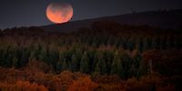 The red-colored Moon partially hidden in its top is seen over Palas de Rei, Galicia, northwestern Spain, early morning on 19 November 2021. A partial lunar eclipse, the last one of 2021, occured on 19 November and it was visible from Spain, other parts of Europe, North and South America, Australia and Asia.  EPA-EFE/Eliseo Trigo