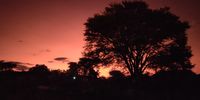 Give me a bushveld sunset any day. Image: Tlou Mashitisho
