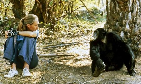 Wildlife advocate and primate expert Jane Goodall dies at 91