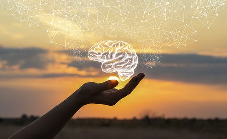 How the Covid-19 lockdown impacted on SA’s mental health