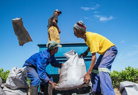 Almost a century later, land claimants get back thousands of hectares of farm land and vineyards