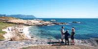 A 4.2m female pilot whale lies washed up on Frank's Beach in Murdoch Valley, Simon's Town, on 19 December. (Photo: Gunnar Oberhösel)