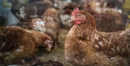 After the Bell: Open for business — bring your own power and water