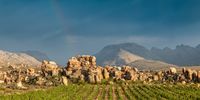 Sunrise at Cederberg vineyards. A more dramatic winery setting will be hard to find.