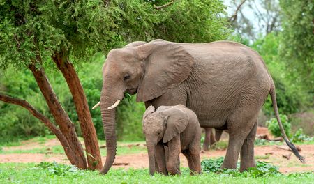 The sacking of Dion George — how a progressive minister is being taken down by the wildlife breeders