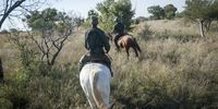 Members of the Dinokeng Game Reserve Anti Poaching Unit (APU), are seen on horseback patrol. Due to Covid 19 lockdown, an increase in poaching activity has occurred as hungry communities turn to ‘bush meat’ to survive. The Big 5 Game Reserve, situated in Hammanskraal, Northern Gauteng is under immense financial strain. It has zero income since the lockdown was enforced. Management fears possible closure of the reserve should the lockdown continue for another few months. 12 May 2020. (Photo: Shiraaz Mohamed)