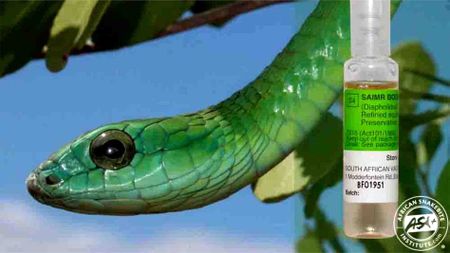 Nationwide snake antivenom stockpile shortage an ‘absolute catastrophe’ - reptile expert