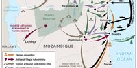 Major illicit flows passing through northern<br>Mozambique.