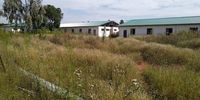 Abandoned and overgrown: two of the ABT units,  ABT Kopanong Hospital, Johannesburg. <br>(Photo: Cllr Daddy Mollo)