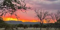 Madikwe sunset 