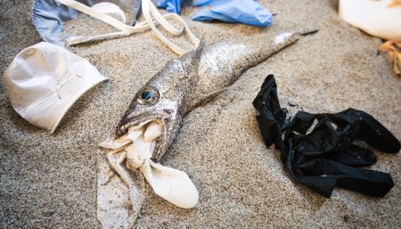 Fighting Covid-19 should not mean that we lose the war against plastic pollution