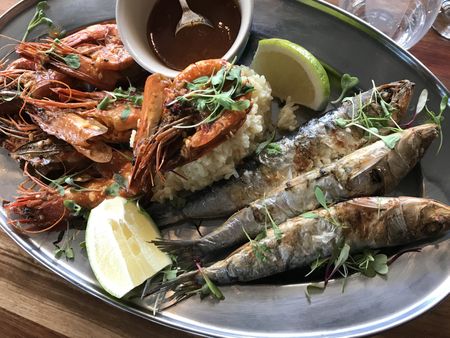 A sleek new phase for Forti at Forti Too