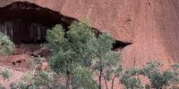 Uluru the friendly whale. Photographer: Hugh Fraser