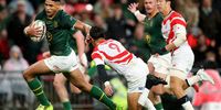Rugby-Boks momentum