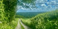 Kent country lane - Summer again. Photographer: Gerd Marschner