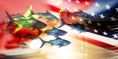 From bait to plate – tracking the Chinese fishing ships linked to rights and labour abuses at sea