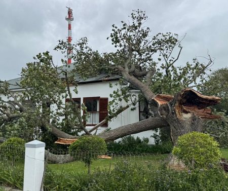 Over Strand Power Cheese farm and Eskom collaboration restores Overstrand power