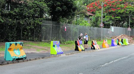 In these KZN towns, the power of Pollyannas is cleaning up neighbourhoods