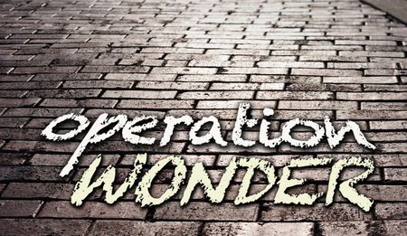 Operation Wonder: Why we chose to ignore explosive dossier