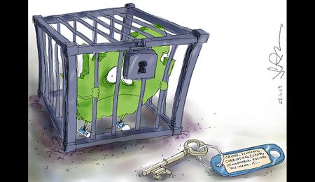 Jerm: Happy Freedom Day, South Africa